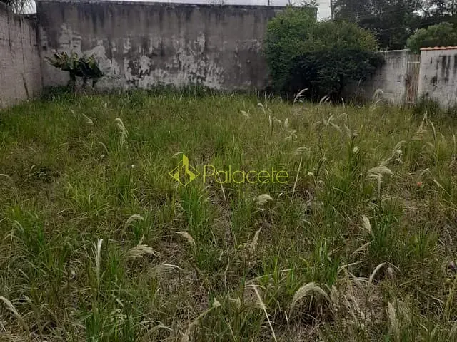 Terreno com 314m², à venda, no bairro Parque São Domingos em Pindamonhangaba