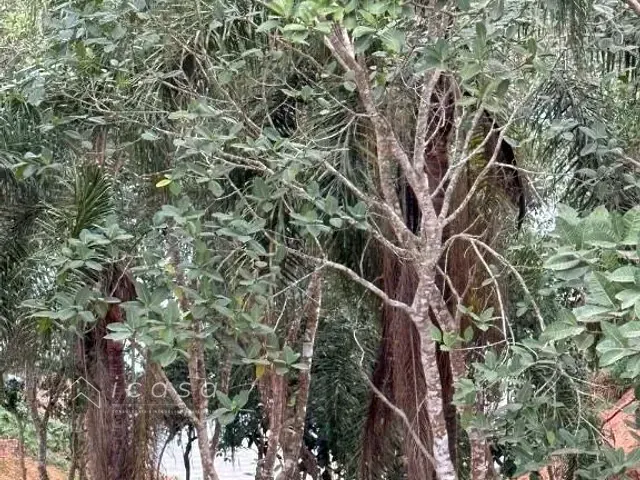 Terreno com 2000m², à venda, no bairro Estância Kennedy em Santa Isabel