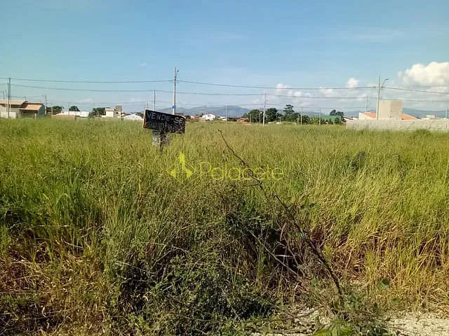 Terreno com 250m², à venda, no bairro Residencial e Comercial Portal dos Eucaliptos em Pindamonhangaba