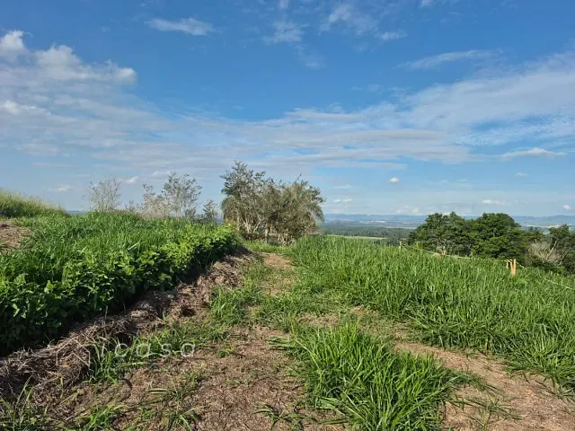 Terreno com 1134m², à venda, no bairro Alto da Ponte em São José dos Campos
