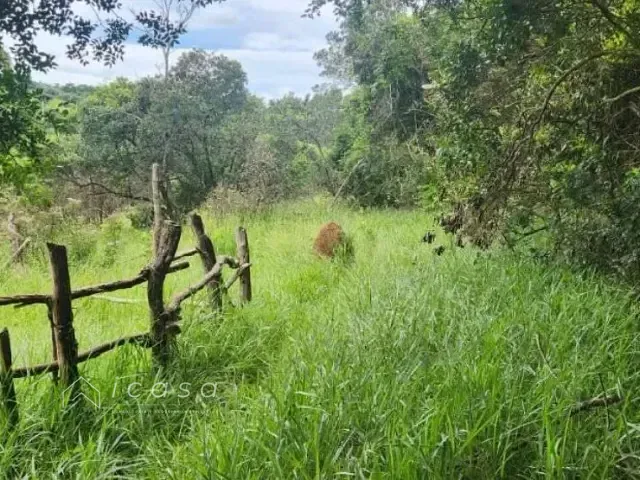 Terreno com 24000m², à venda, no bairro Santa Cecília II em São José dos Campos