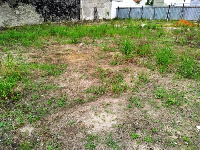 Terreno com 3200m², à venda, no bairro Crispim em Pindamonhangaba