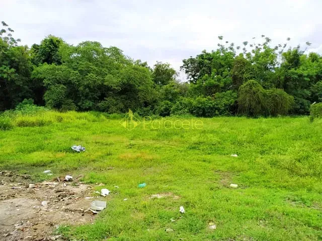 Terreno com 3200m², à venda, no bairro Crispim em Pindamonhangaba