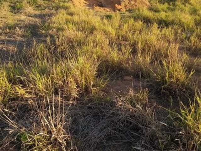Terreno com 150m², à venda, no bairro Areao em Taubaté