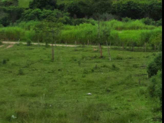 Terreno com 12000m², à venda, no bairro Centro em Roseira