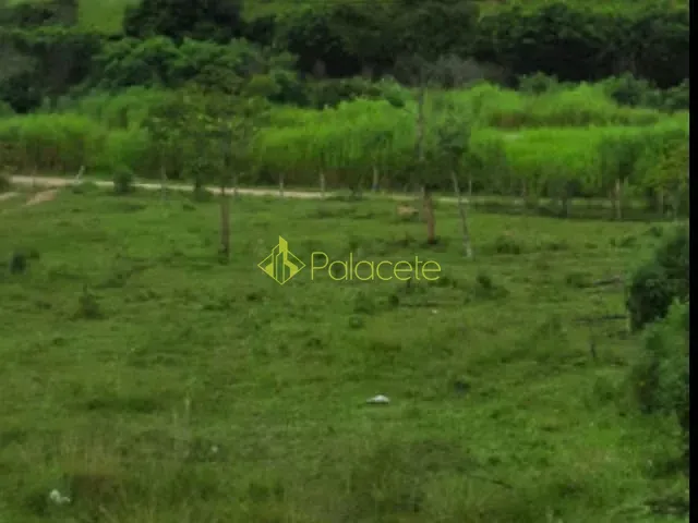 Terreno com 12000m², à venda, no bairro Centro em Roseira