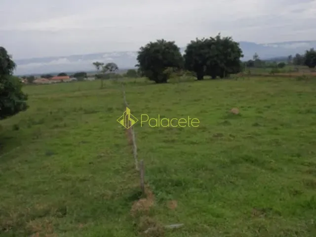 Terreno com 12000m², à venda, no bairro Centro em Roseira