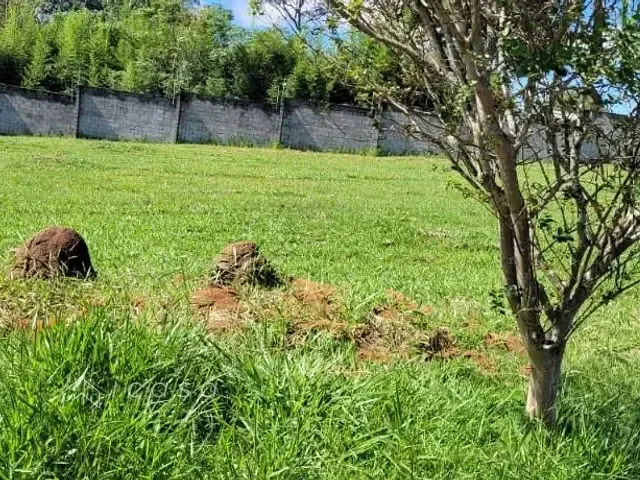 Terreno com 44650m², à venda, no bairro Santa Luzia em Caçapava