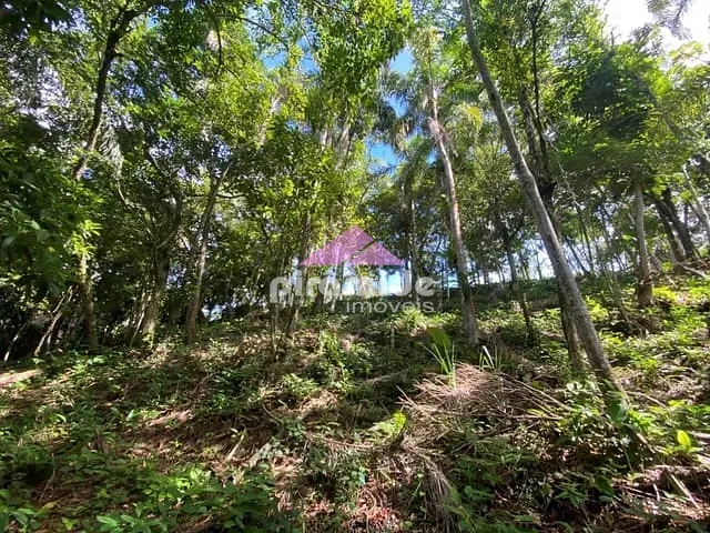 Terreno com 894m², à venda, no bairro Cigarras em São Sebastião