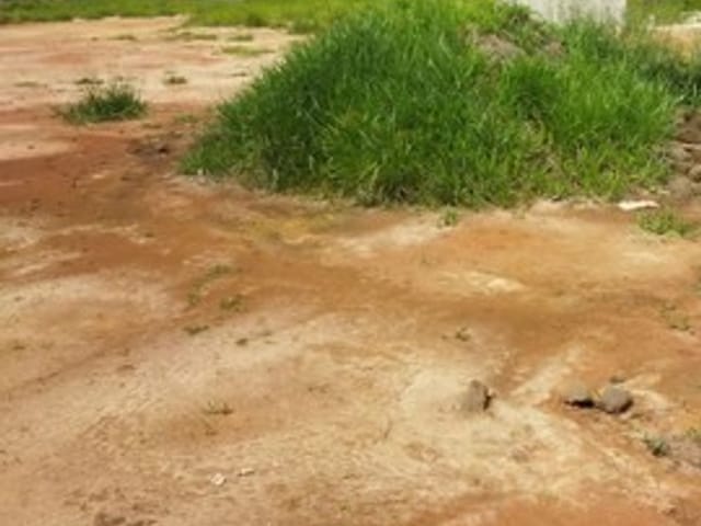 Terreno com 250m², à venda, no bairro Jardim Maracaibo em Tremembé
