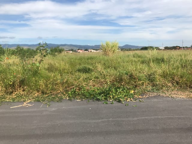 Terreno com 125m², à venda, no bairro Conjunto Habitacional Terra dos Ipês W em Pindamonhangaba