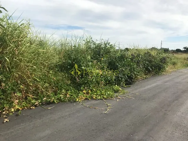 Terreno com 125m², à venda, no bairro Conjunto Habitacional Terra dos Ipês W em Pindamonhangaba