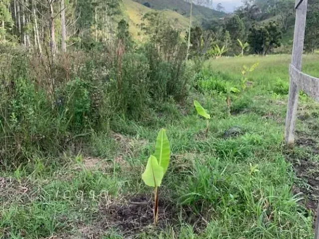 Terreno com 20000m², à venda, no bairro Zona Rural em São Luiz do Paraitinga