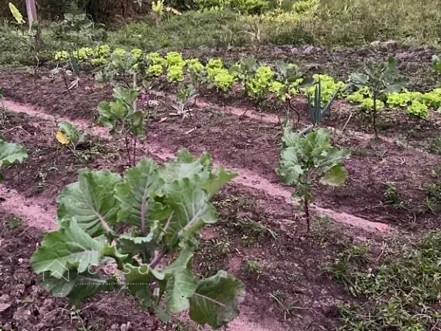 Terreno com 20000m², à venda, no bairro Zona Rural em São Luiz do Paraitinga