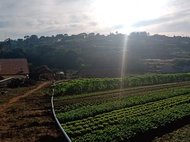 Terreno com 15000m² 2 quartos e 1 banheiro, à venda, no bairro São Gonçalo em Taubaté