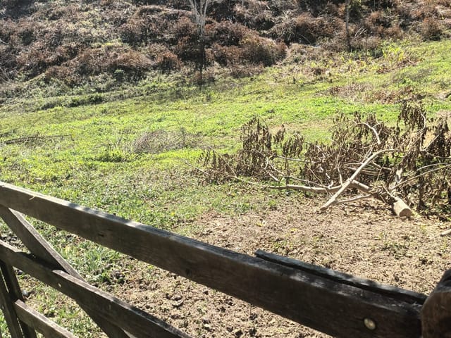 Terreno com 30000m², à venda, no bairro Mandú em Pindamonhangaba