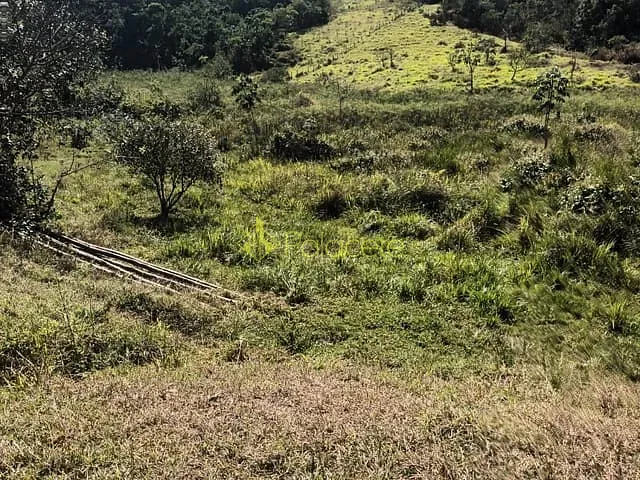 Terreno com 30000m², à venda, no bairro Mandú em Pindamonhangaba