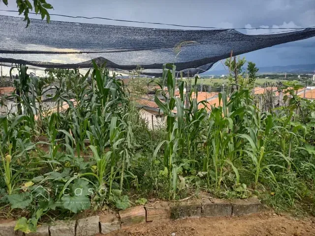 Terreno com 175m², à venda, no bairro Parque Residencial Santo André em Caçapava