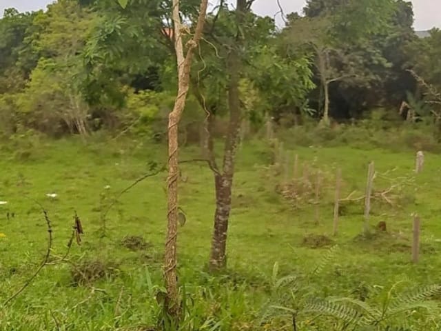 Terreno com 1000m², à venda, no bairro Goiabal em Pindamonhangaba