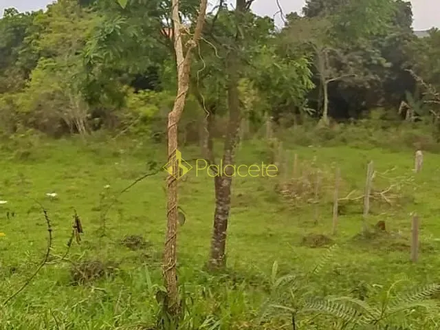 Terreno com 1000m², à venda, no bairro Goiabal em Pindamonhangaba