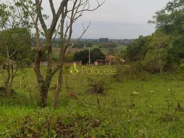 Terreno com 1000m², à venda, no bairro Goiabal em Pindamonhangaba