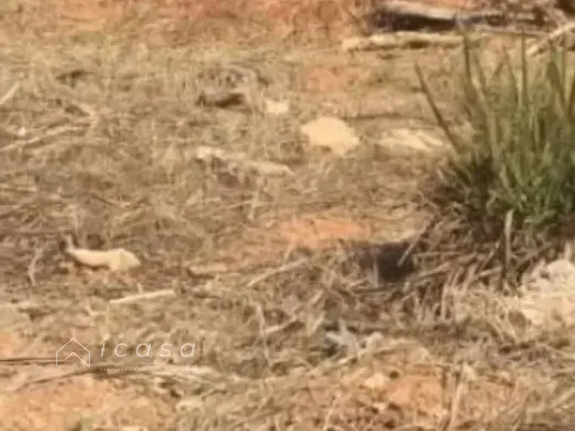 Terreno com 616m², à venda, no bairro Jardim Aquárius em São José dos Campos