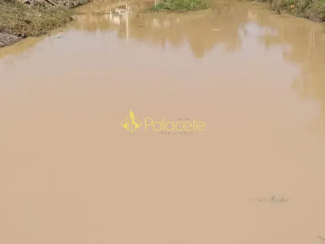 Terreno com 4000m², à venda, no bairro Bosque dos Ipês em Guaratinguetá