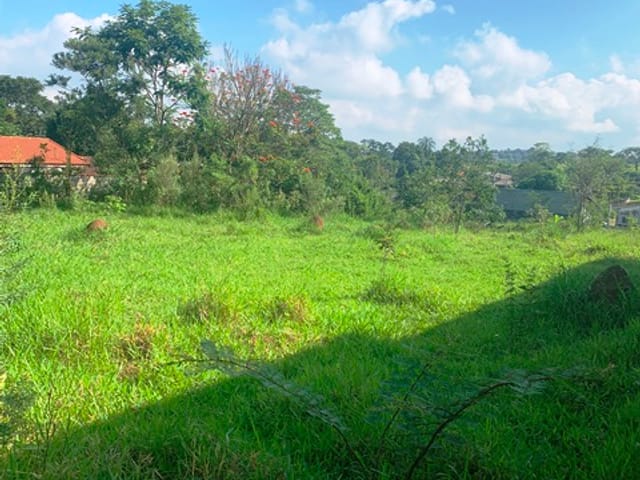 Terreno com 1500m², à venda, no bairro Goiabal em Pindamonhangaba