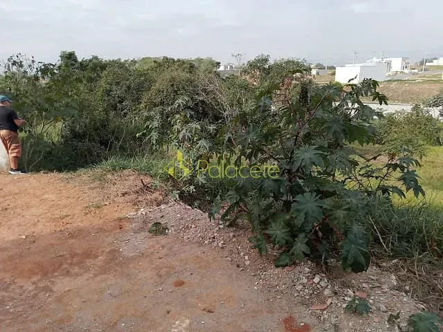 Terreno com 217m², à venda, no bairro Residencial Parque das Palmeiras em Pindamonhangaba