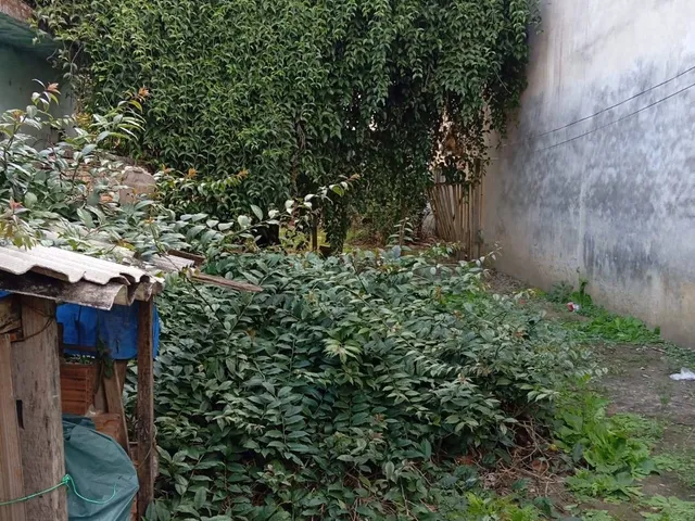 Terreno com 150m², à venda, no bairro Frei Galvão em Potim