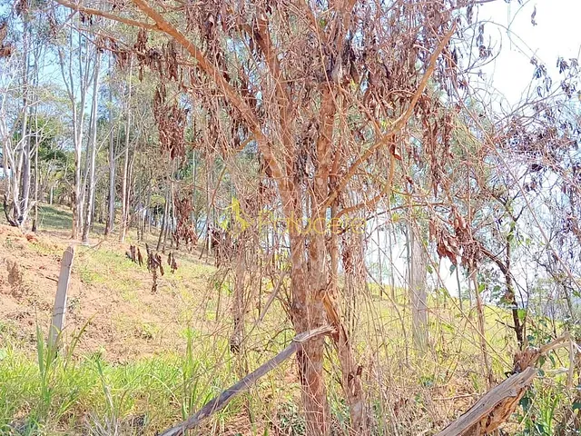 Terreno com 1632m², à venda, no bairro Pedreira em Guaratinguetá