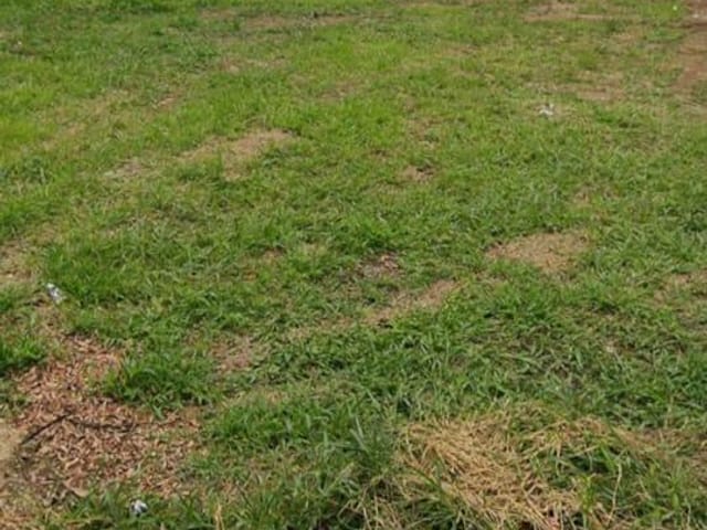 Terreno com 421m², à venda, no bairro Azeredo em Pindamonhangaba