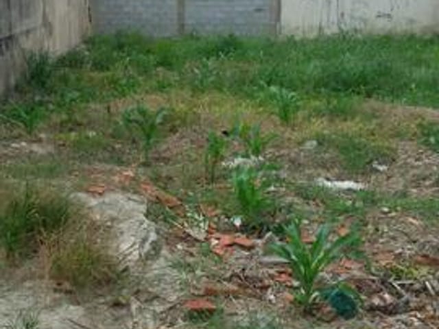 Foto do Terreno - Terreno residencial à venda, Jardim Josane, Sorocaba. | Ary Proenca Negócios Imobiliários Ltda