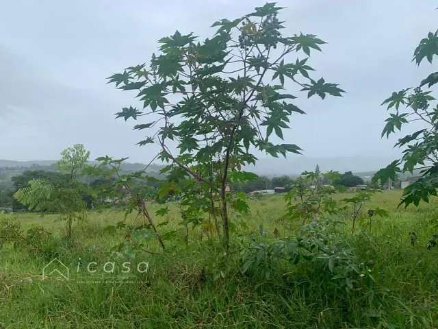 Terreno com 195m², à venda, no bairro Caçapava Velha em Caçapava