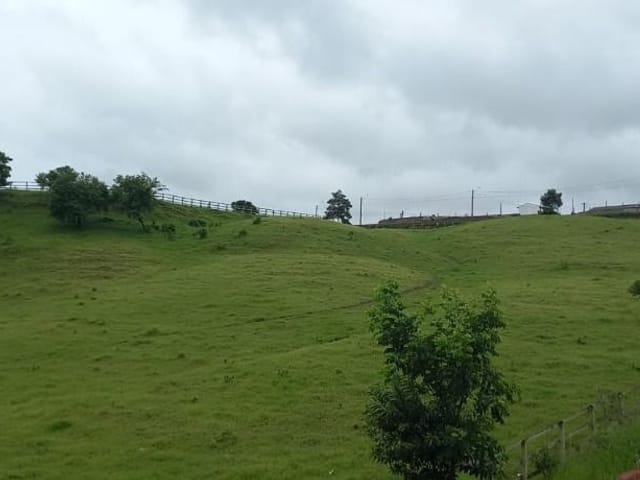 Foto do Terreno - Área à venda, 67000 m² por R$ 11.250.000,00 - Aparecidinha - Sorocaba/SP | Ary Proenca Negócios Imobiliários Ltda