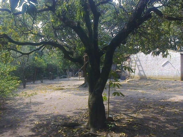 Foto do Terreno - Terreno residencial à venda, Caputera, Sorocaba. | Ary Proenca Negócios Imobiliários Ltda