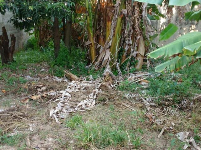 Foto do Terreno - Terreno residencial à venda, Jardim São Marcos, Sorocaba. | Ary Proenca Negócios Imobiliários Ltda