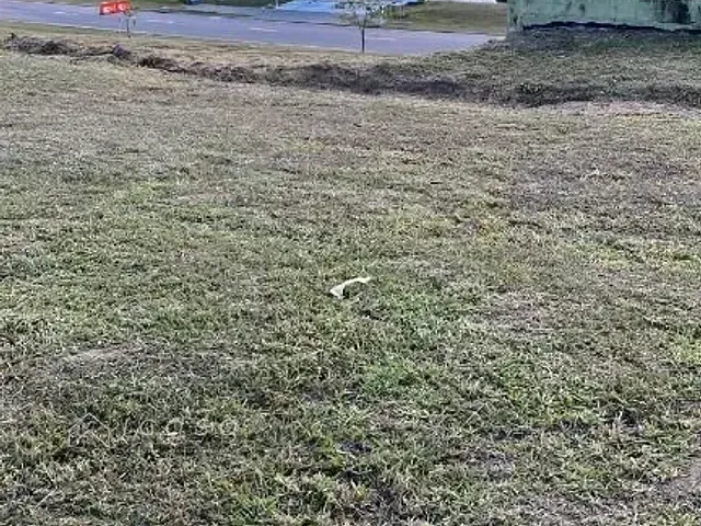 Terreno com 542m², à venda, no bairro Condomínio Residencial Alphaville I em São José dos Campos
