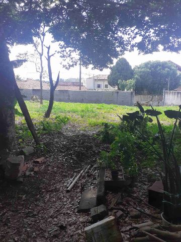 Terreno com 3600m², à venda, no bairro Jardim Santa Cecília em Pindamonhangaba