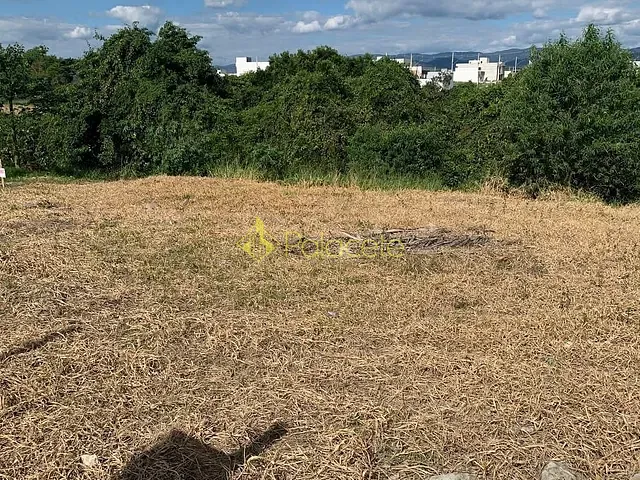 Terreno com 402m², à venda, no bairro Residencial Parque das Palmeiras em Pindamonhangaba