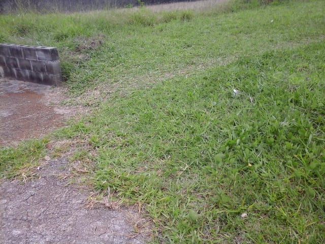 Foto do Terreno - Terreno à venda, 990 m² por R$ 1.238.000,00 - Jardim Eltonville - Sorocaba/SP | Ary Proenca Negócios Imobiliários Ltda