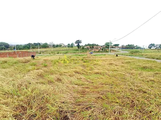 Terreno com 265m², à venda, no bairro Campinas em Pindamonhangaba