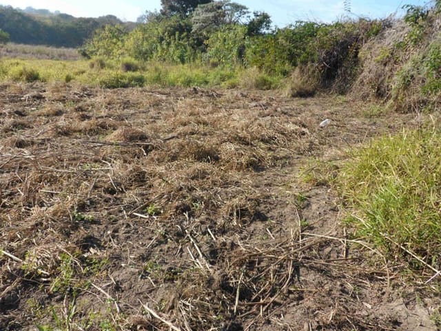 Foto do Terreno - Terreno à venda 48000M², Jardim Tatiana, Sorocaba - SP | Ary Proenca Negócios Imobiliários Ltda