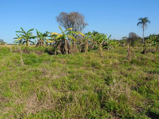 Foto do Terreno - Terreno à venda 48000M², Jardim Tatiana, Sorocaba - SP | Ary Proenca Negócios Imobiliários Ltda