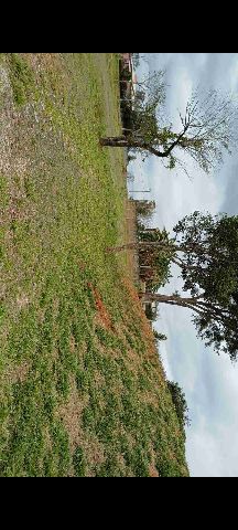 Terreno com 2000m², à venda, no bairro Chácara São Félix em Taubaté