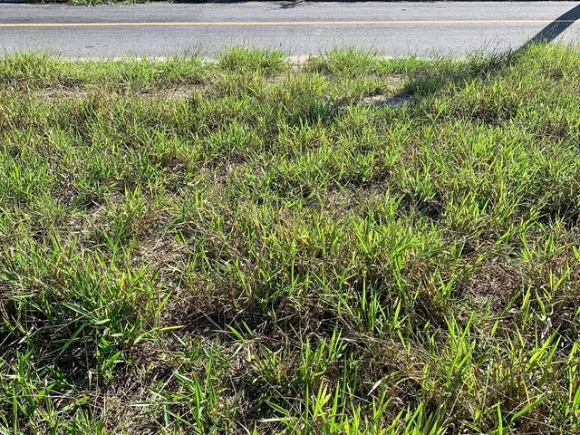 Terreno com 175m², à venda, no bairro Residencial e Comercial Cidade Morumbi em Pindamonhangaba