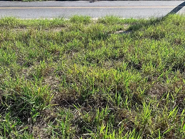 Terreno com 175m², à venda, no bairro Residencial e Comercial Cidade Morumbi em Pindamonhangaba