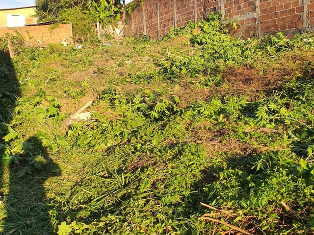 Terreno com 300m², à venda, no bairro Pingo de Ouro em Guaratinguetá