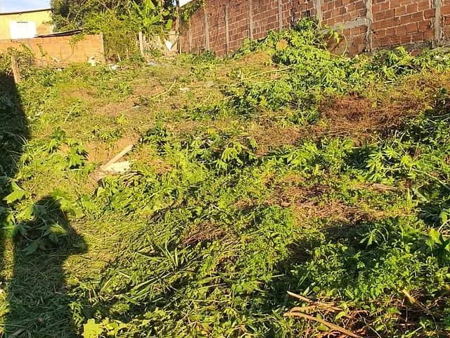Terreno com 300m², à venda, no bairro Pingo de Ouro em Guaratinguetá