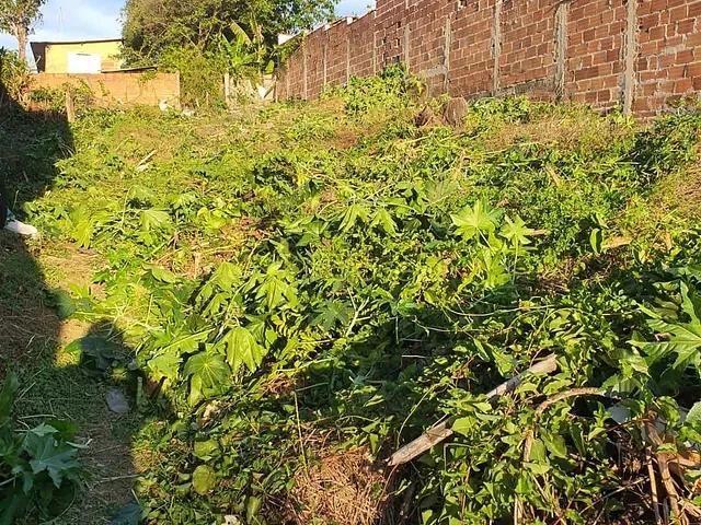 Terreno com 300m², à venda, no bairro Pingo de Ouro em Guaratinguetá